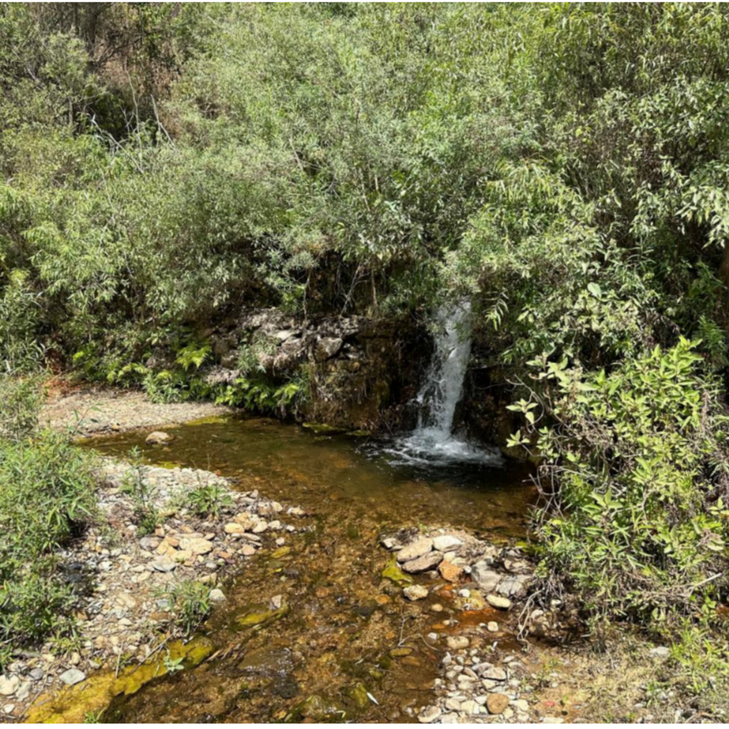 Agua Chilpancingo