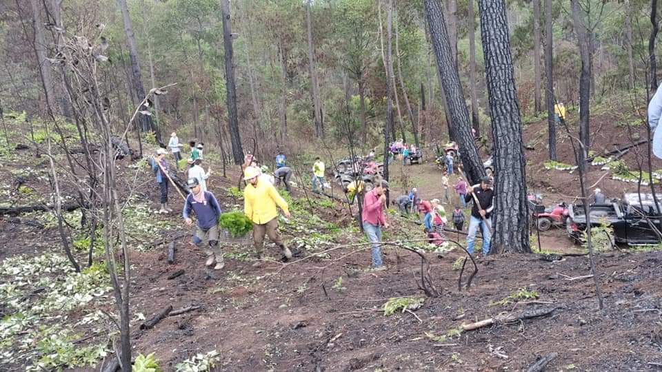 Ejido Forestal Cordon Grande