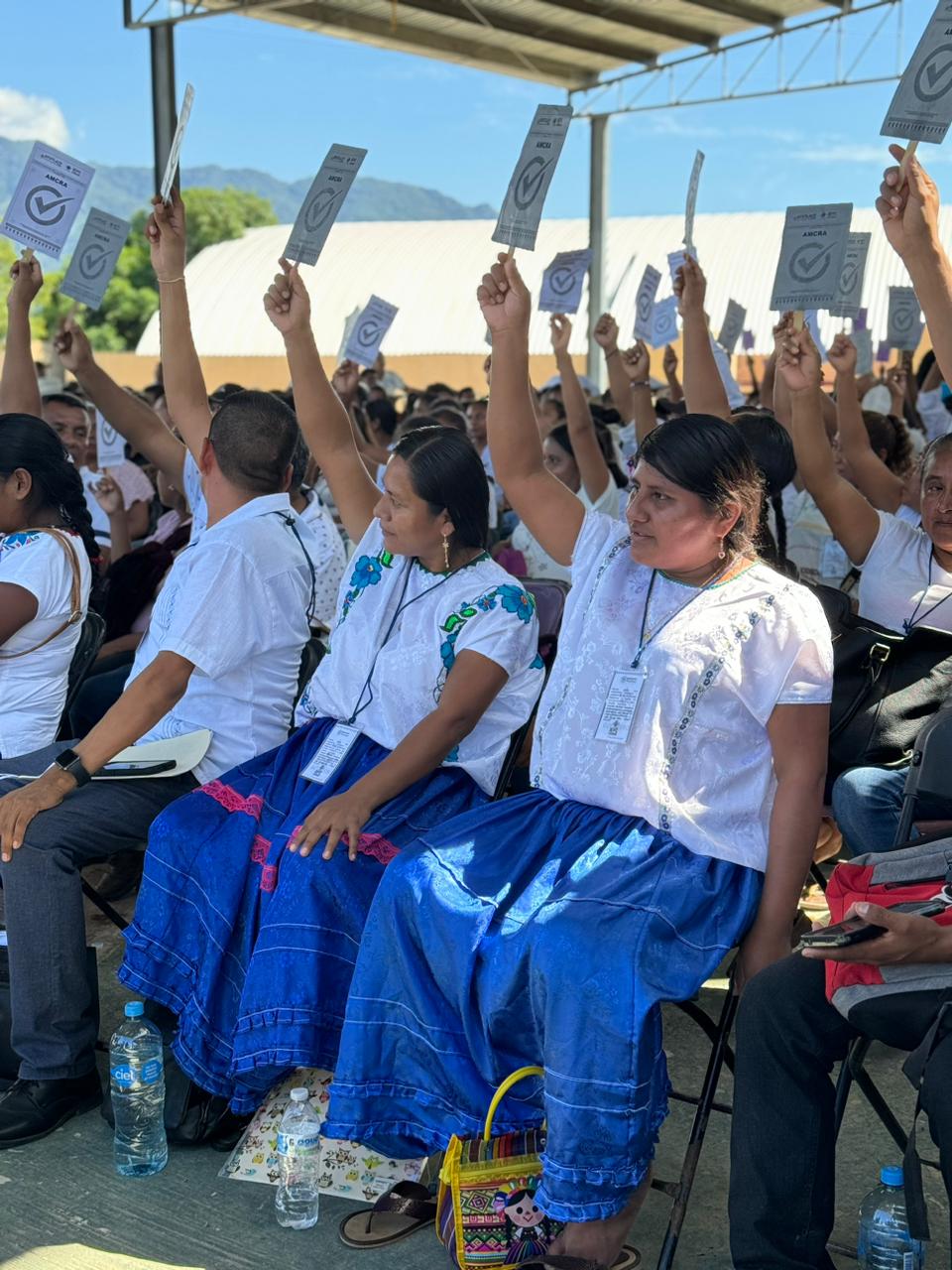 Asamblea Ayutla de los Libres